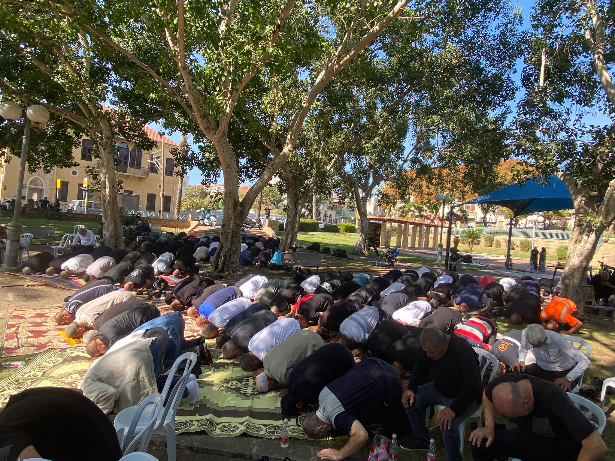 WhatsApp Image 2021-11-12 at 12.06.26 PM.jpeg